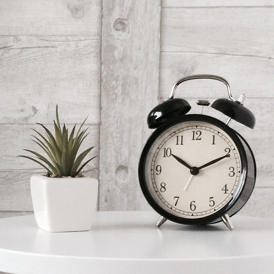 Black wind up alarm clock on table next to a plant in a white square vase.