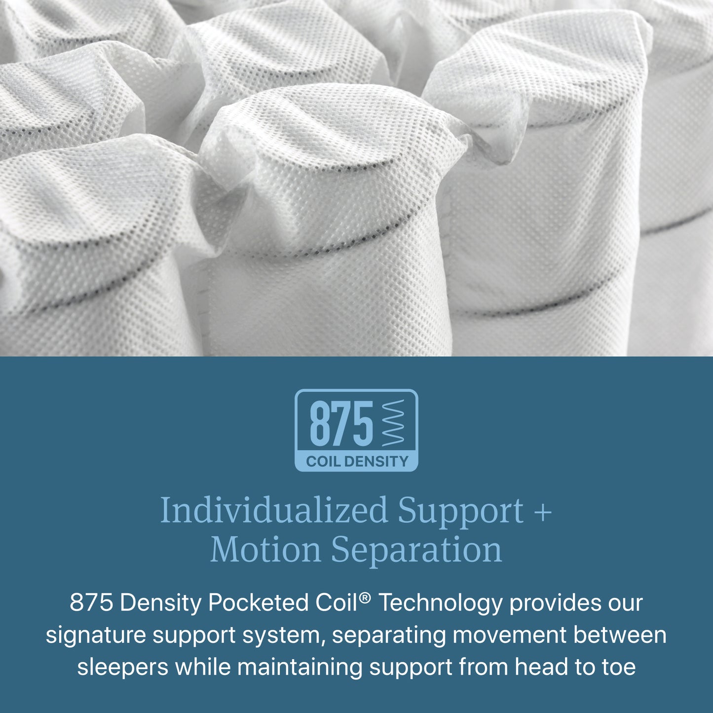 Individualized Support plus motion separation diagram