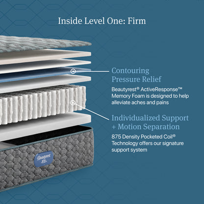 Inside Level One: Firm diagram