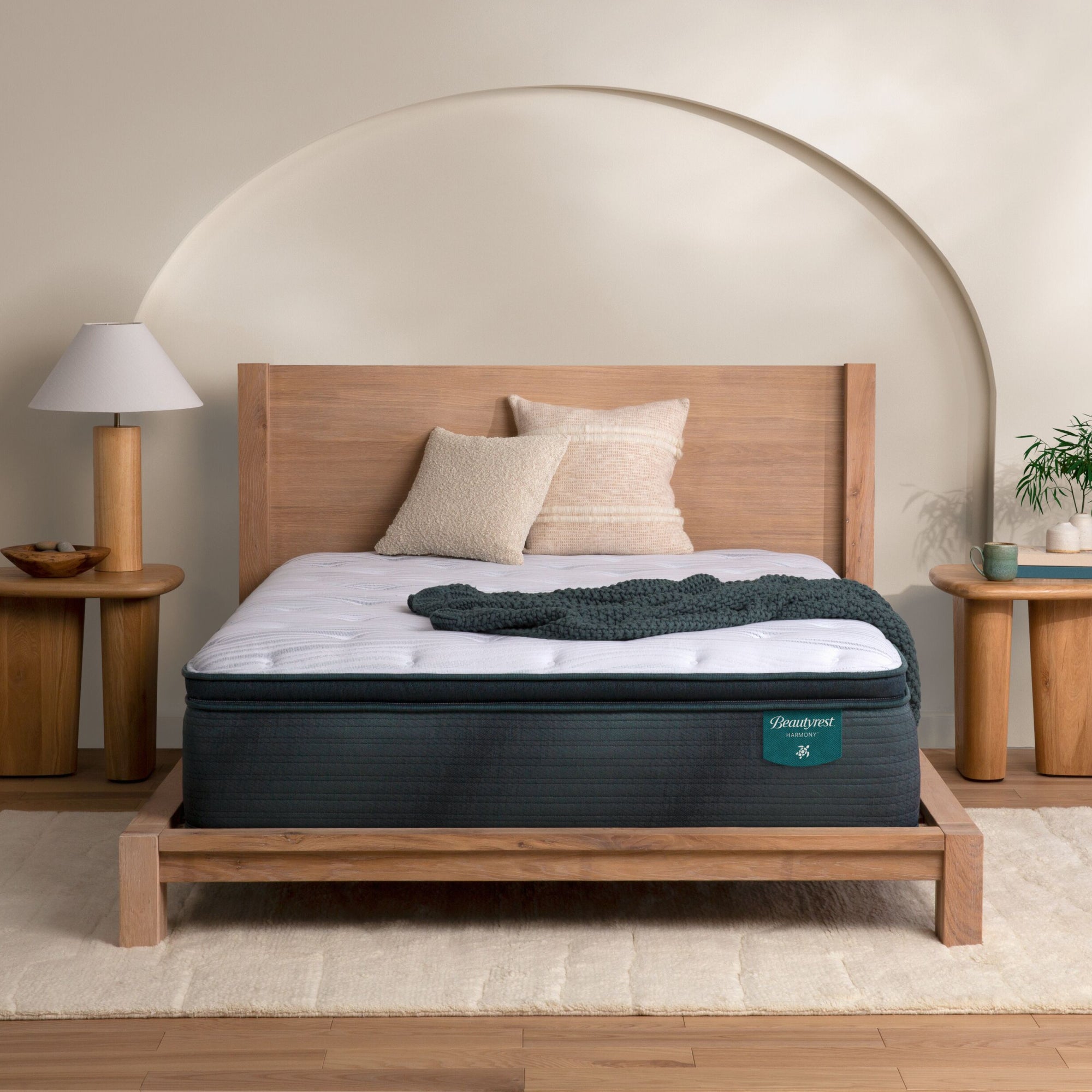 Simmons beautyrest plush euro hotsell top mattress